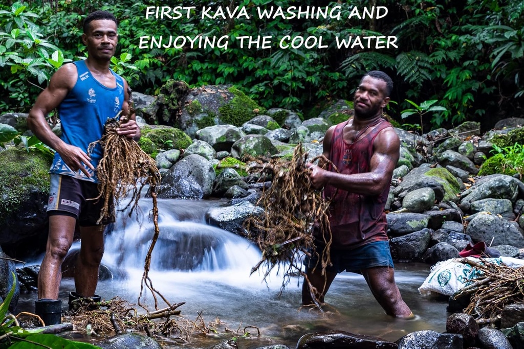 premium-fiji-noble-kava-root-powder-16-o-4.jpg