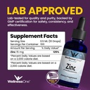 wellnessone-liquid-zinc-kids-multivitami-3.jpg