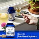 doctor-morse-milk-thistle-supplement-251-4.jpg