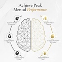elite-brain---nootropic-supplement-for-f-4.jpg