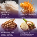 apothekary-mindcraft-tincture-cognition--3.jpg