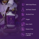 apothekary-mindcraft-tincture-cognition--5.jpg