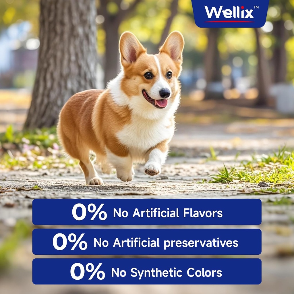 wellix-omega-3-fish-oil-for-dogs-better--6.jpg