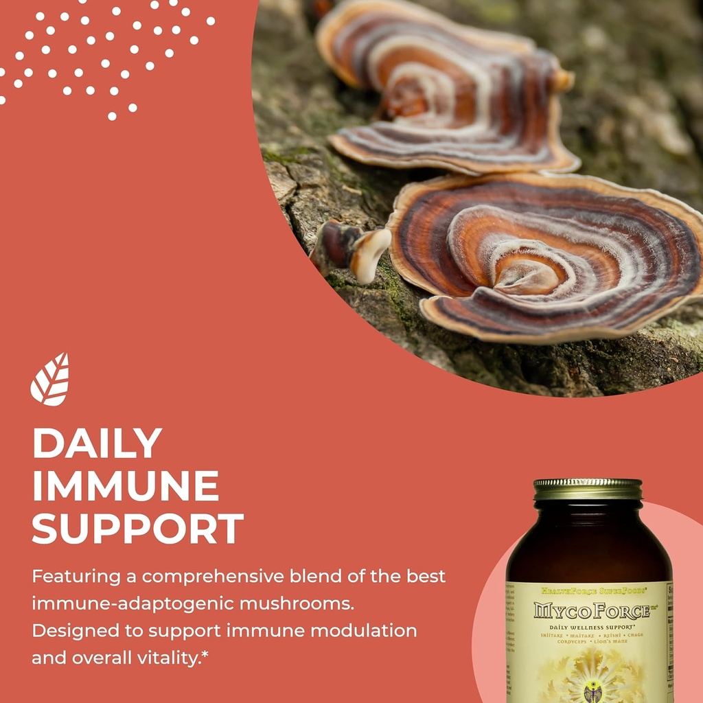 healthforce-superfoods-mycoforce---powde-4.jpg