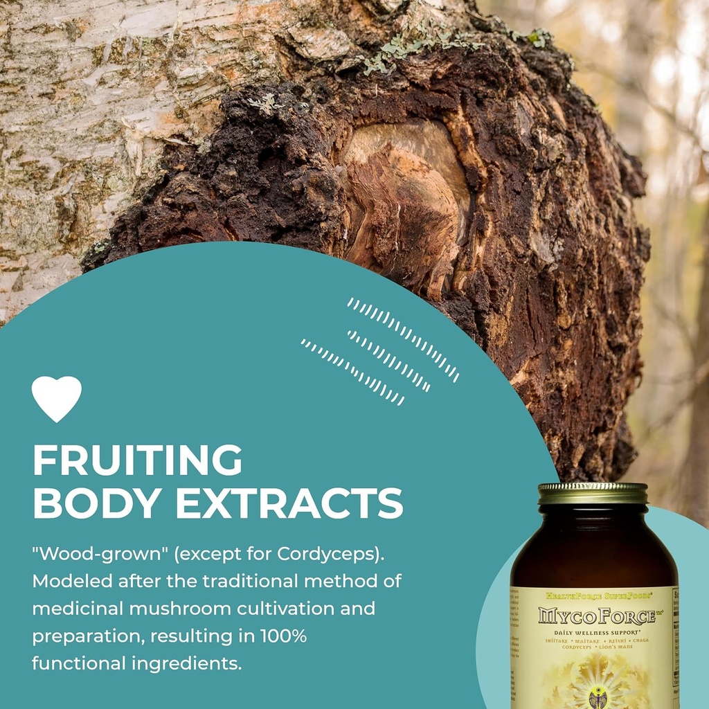healthforce-superfoods-mycoforce---powde-5.jpg