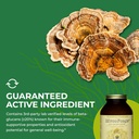 healthforce-superfoods-mycoforce---powde-6.jpg