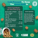 doggie-dailies-skin-coat-supplement-supp-5.jpg
