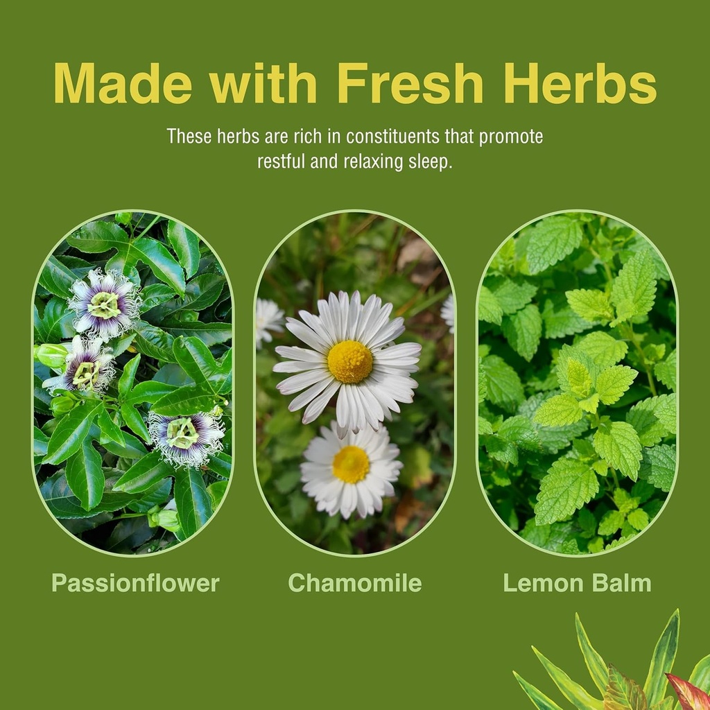 herbs-etc-deep-sleep-classic-liquid-extr-6.jpg
