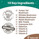 naturvet-mushroom-max-advanced-immune-su-2.jpg