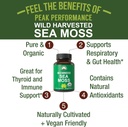 organic-sea-moss-capsules-wild-harvested-2.jpg