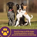 horse-health-canine-red-cell-liquid-vita-2.jpg