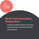 allergy-research-group-artemisinin-suppl-6.jpg
