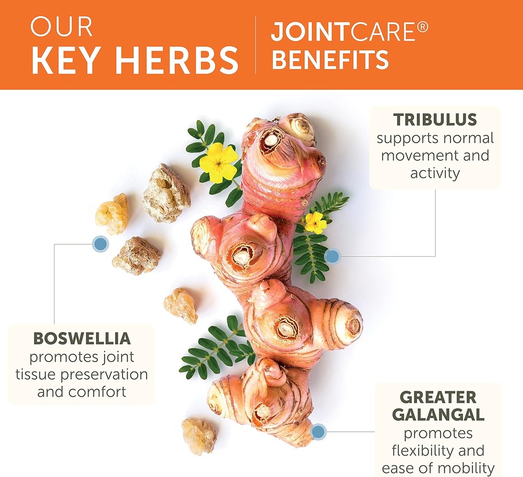 himalaya-jointcare-with-boswellia-joint--3.jpg