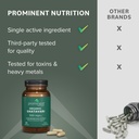 prominent-nutrition-organic-shatavari-ca-6.jpg