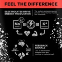 drink-lmnt-sparkling-electrolyte-drink---3.jpg