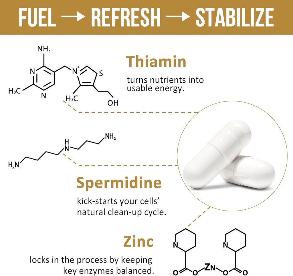spermidine-supplements-13mg---1300mg-whe-6.jpg