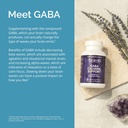 dr-amen-brainmd-gaba-calming-support---9-6.jpg