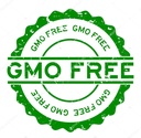 chia-seeds-gluten-free---chia-seed---chi-6.jpg