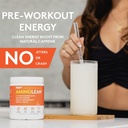 rsp-vegan-aminolean-all-in-one-natural-p-4.jpg