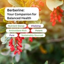 paradise-herbs-berberine-extract-500-mg--5.jpg