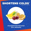 zicam-cold-remedy-zinc-medicated-fruit-d-2.jpg
