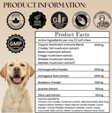 dogs-immune-support-mushroom-supplement--3.jpg