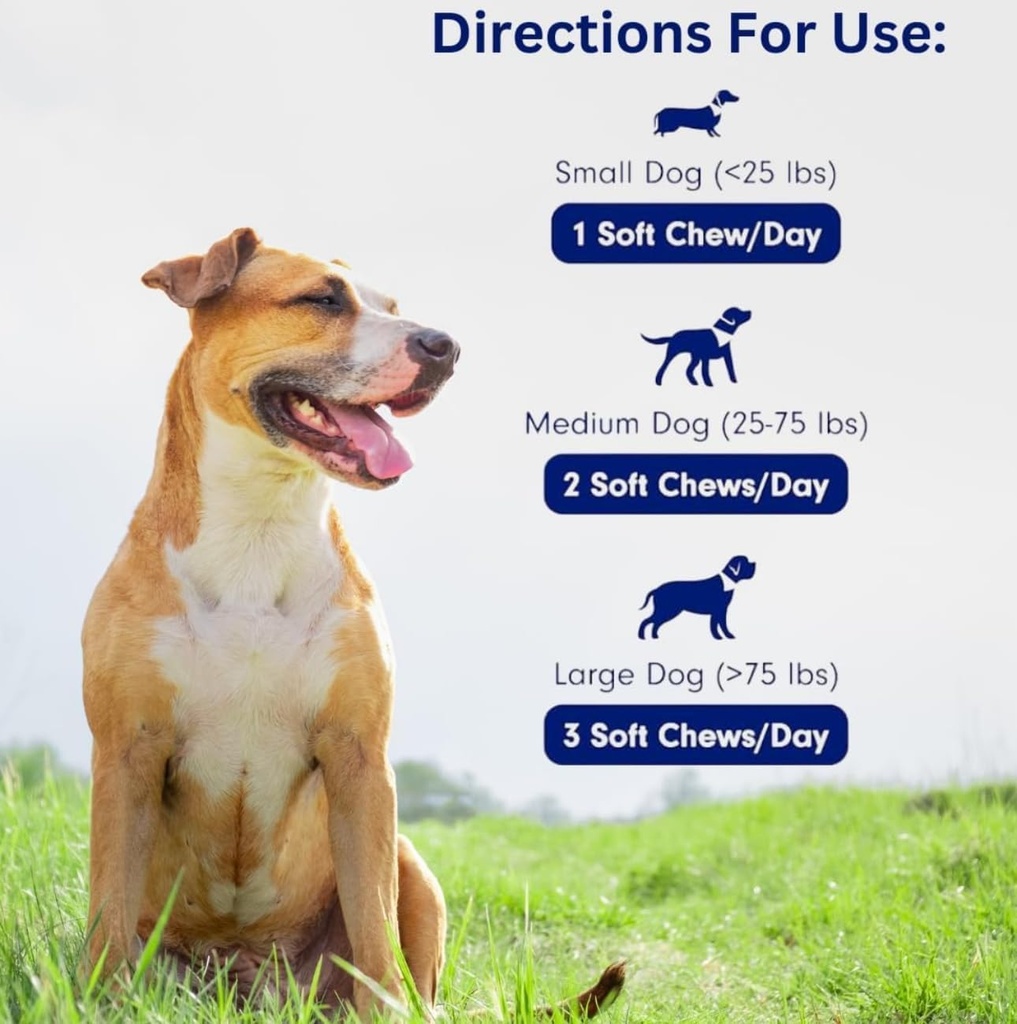 dogs-immune-support-mushroom-supplement--6.jpg