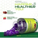 mushroom-gummies-lions-mane-supplement-m-6.jpg