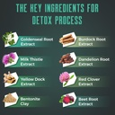 detox-cleanse-gummies---liver-gut-kidney-3.jpg