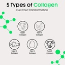 nuray-collagenic-burn-elite-with-green-t-3.jpg