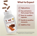 andrew-lessman-cinnamon-400mg---360-caps-4.jpg