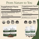 real-mushrooms-turkey-tail-mushroom-powd-3.jpg