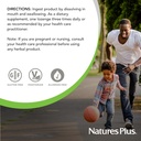 naturesplus-herbal-actives-immunactin-zi-6.jpg
