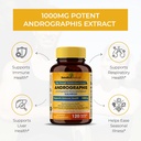 sandhuherbals-sandhu-herbals-andrographi-4.jpg