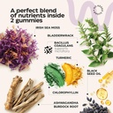 collagen-and-sea-moss-gummies-bundle---c-5.jpg
