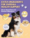 eagoudiary-dog-cough-treatmentliquid-ken-5.jpg