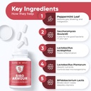 sibo-ibs-relief-clinical-grade-treatment-4.jpg
