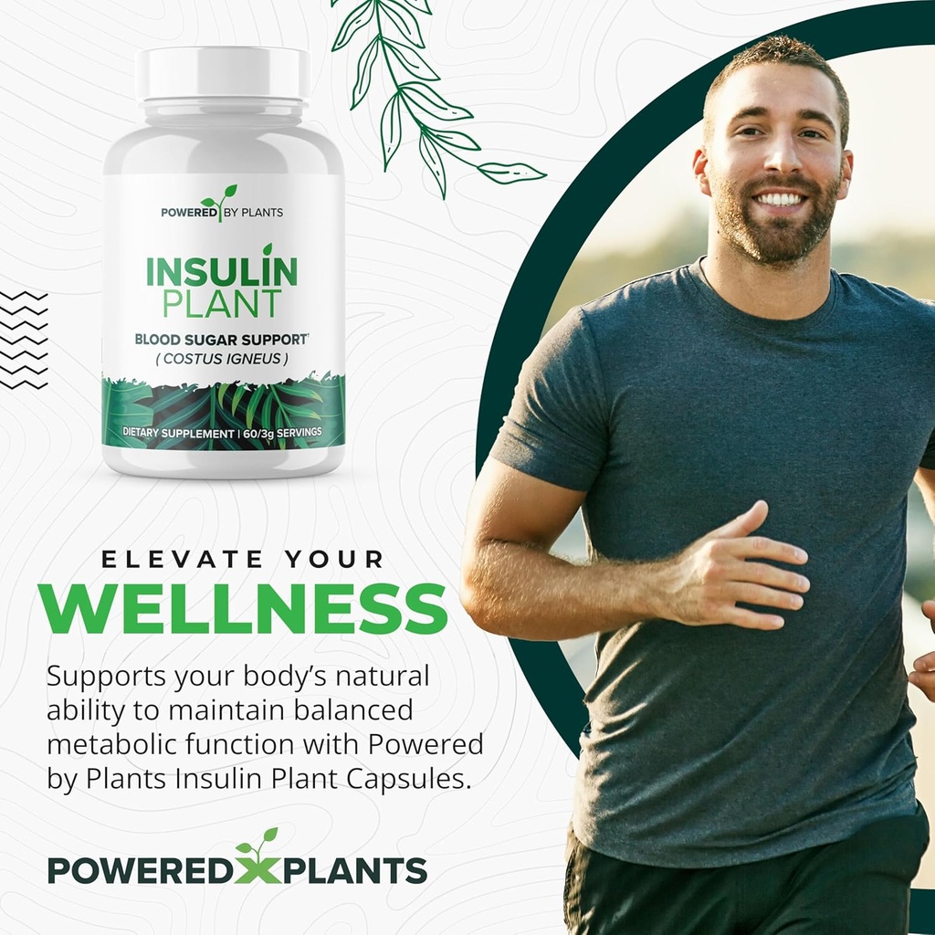 insulin-plant-capsules---3000mg-costus-i-2.jpg