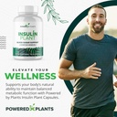 insulin-plant-capsules---3000mg-costus-i-2.jpg