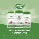 natures-way-garlic-bulb-supports-heart-h-6.jpg