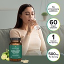 prominent-nutrition-bergamot-phytosome-c-6.jpg