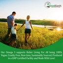algal-oil---vegan-dha-omega-3-fish-oil-s-5.jpg