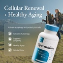 spermidine-capsules-gluten-free-99-conce-2.jpg