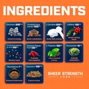 sheer-strength-labs-shred-dhea-pack-6.jpg