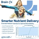 brain-fxTM-b-vitamins-herbs-for-memory-a-2.jpg