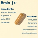 brain-fxTM-b-vitamins-herbs-for-memory-a-3.jpg