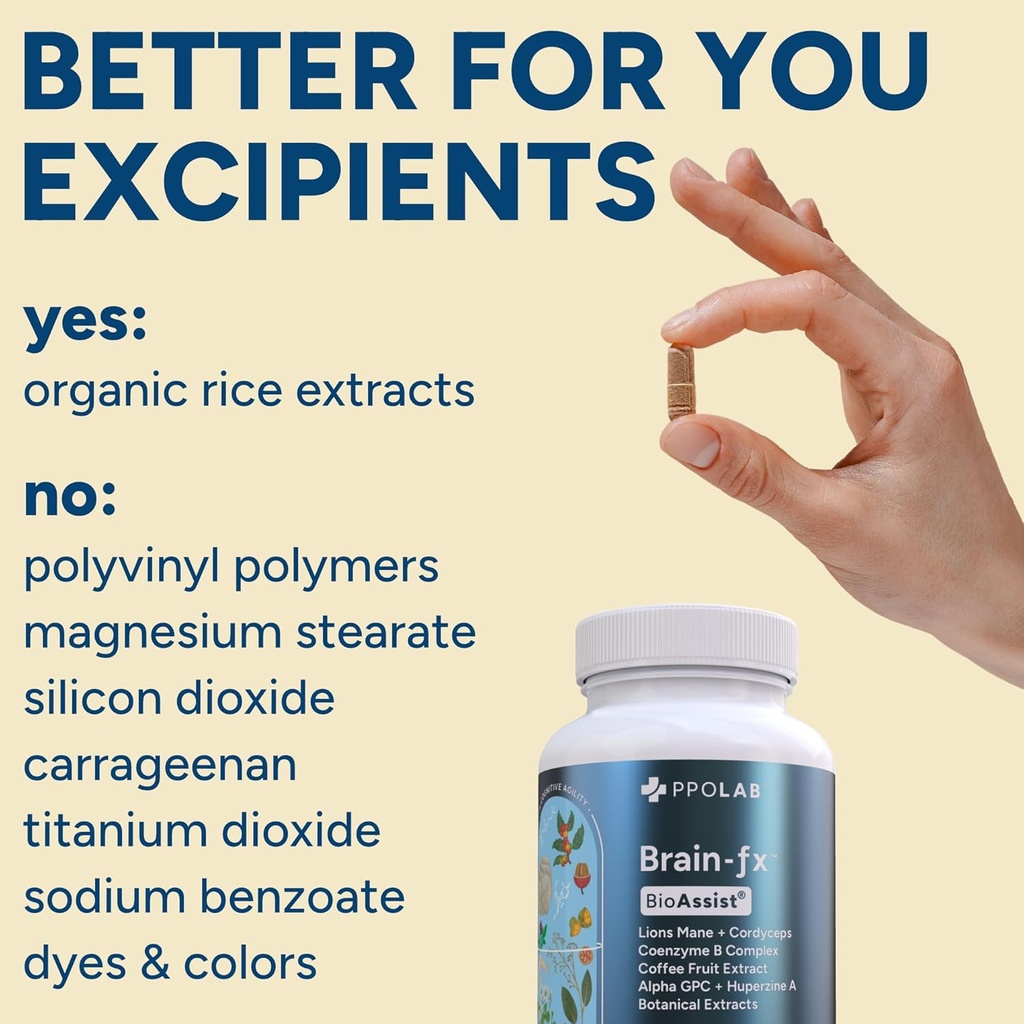 brain-fxTM-b-vitamins-herbs-for-memory-a-5.jpg