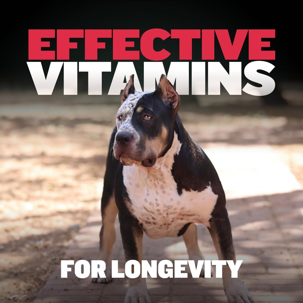 bully-max-dog-chews-multivitamin-treats--6.jpg