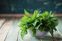cedar-bear-herbal-minerals-for-kids-a-li-2.jpg