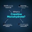 weightworld-micronized-creatine-monohydr-3.jpg